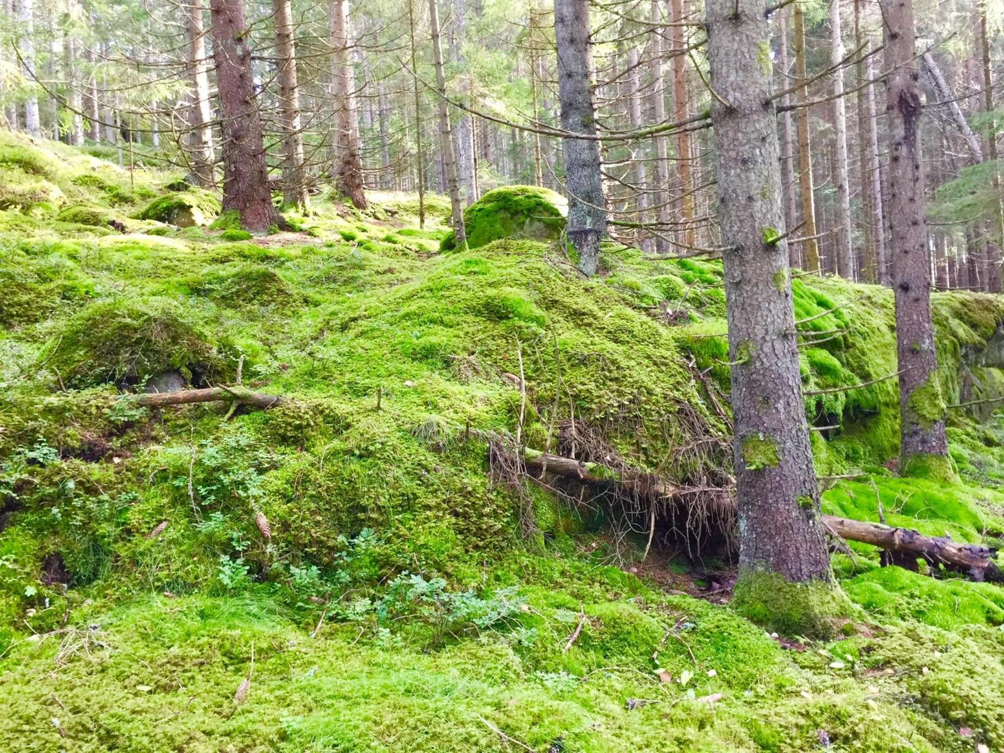 Sanglert Villa Strömstad Eksteriør bilde